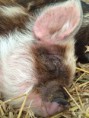 /album/fotogalerij/image-67-jpg1/